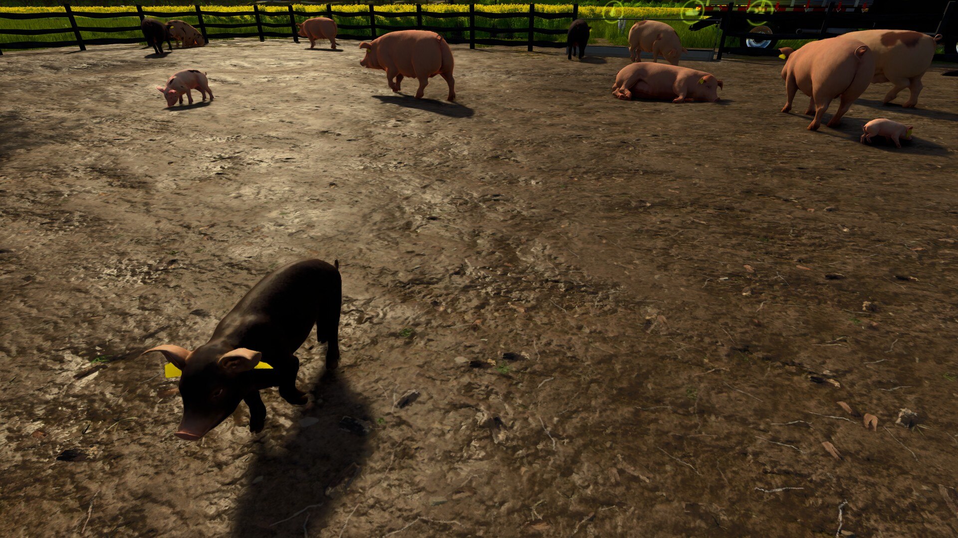 Farming Simulator 25 дополения: Ваш путь к фермерской империи начинается здесь!