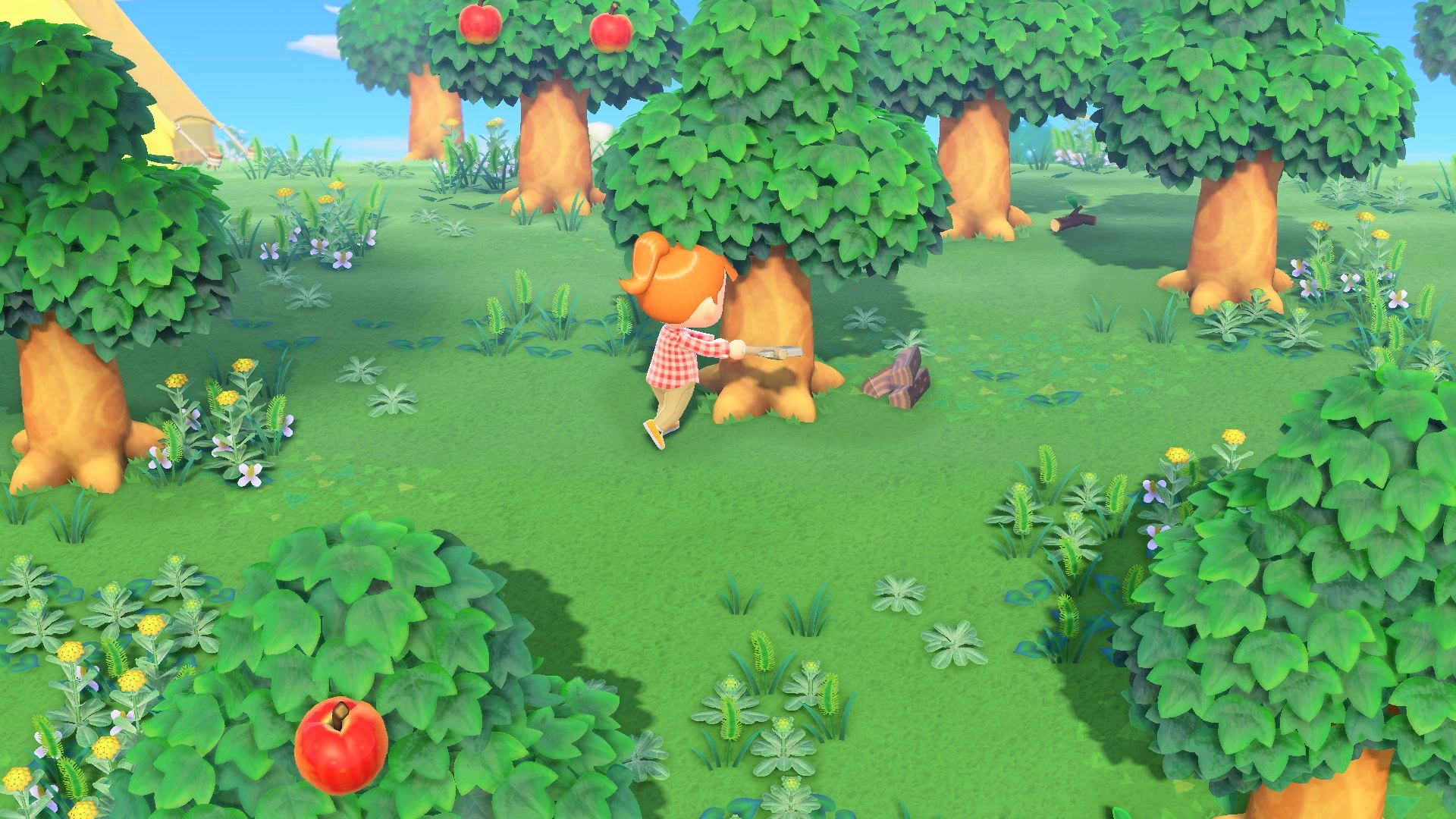 https://img.e-store.pro/products/screenshots/animal_crossing_new_horizons_happy_home_paradise_nintendo_switch_cifrovaya_versiya_eu_screenshot5.webp
