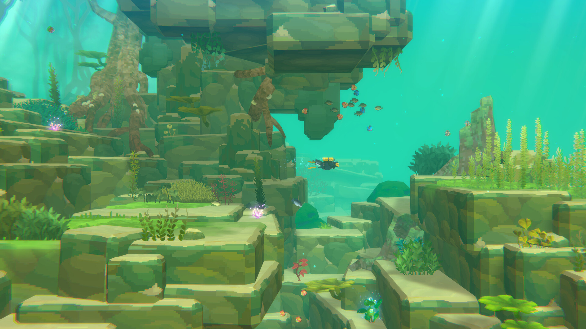 https://img.e-store.pro/products/screenshots/dave_the_diver_in_the_jungle_content_pack_screenshot1.webp