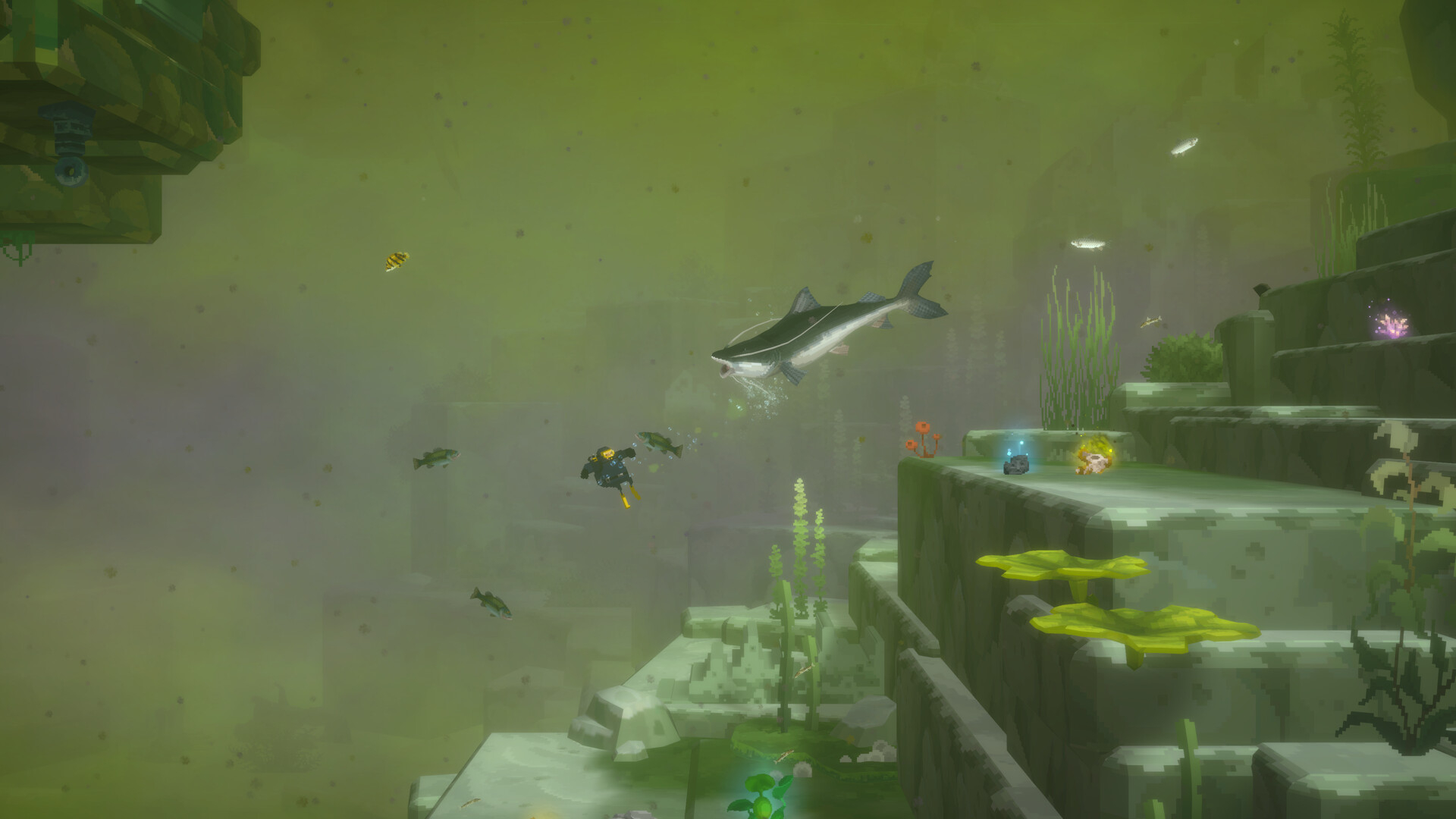 https://img.e-store.pro/products/screenshots/dave_the_diver_in_the_jungle_content_pack_screenshot2.webp