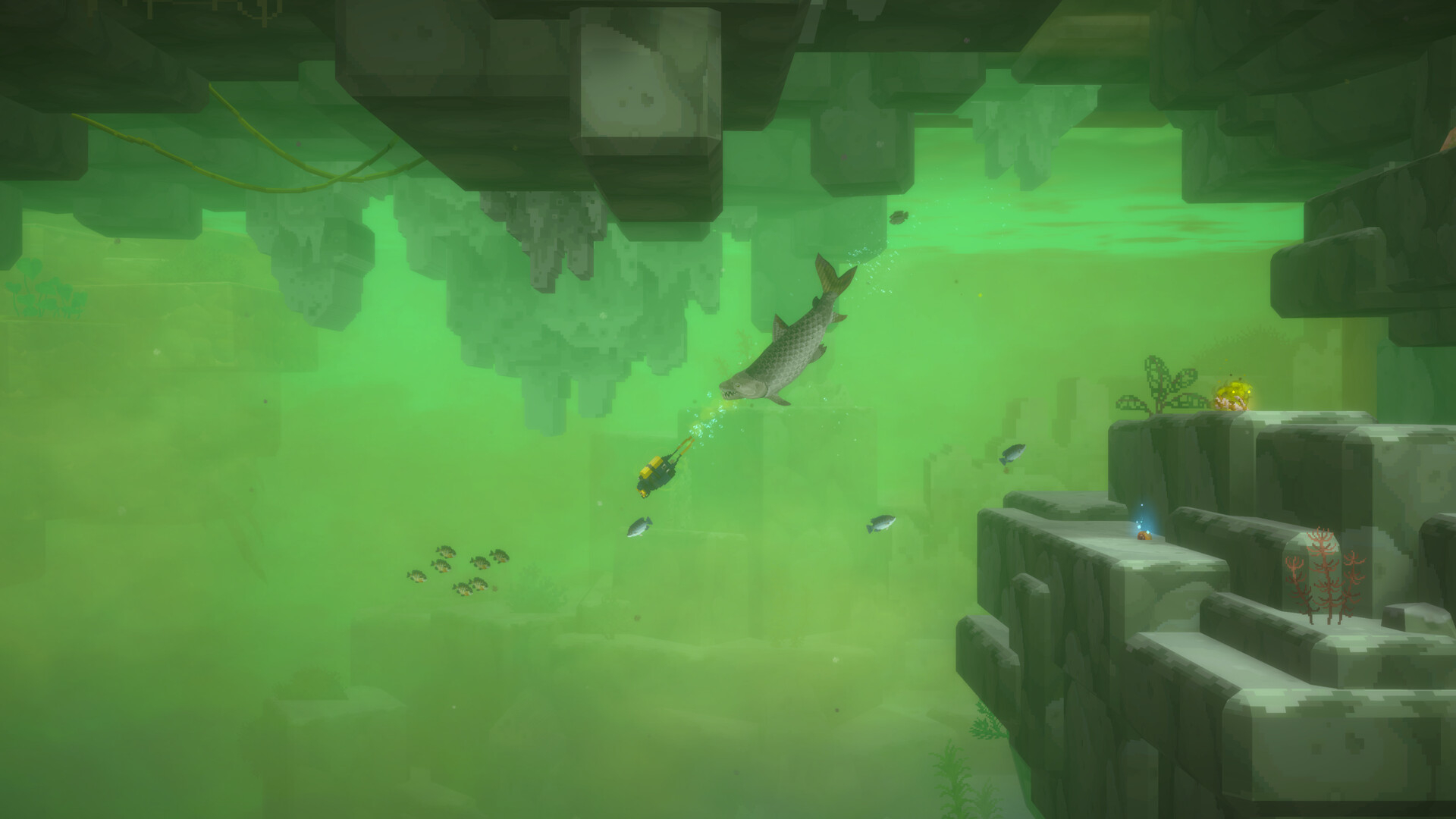 https://img.e-store.pro/products/screenshots/dave_the_diver_in_the_jungle_content_pack_screenshot3.webp
