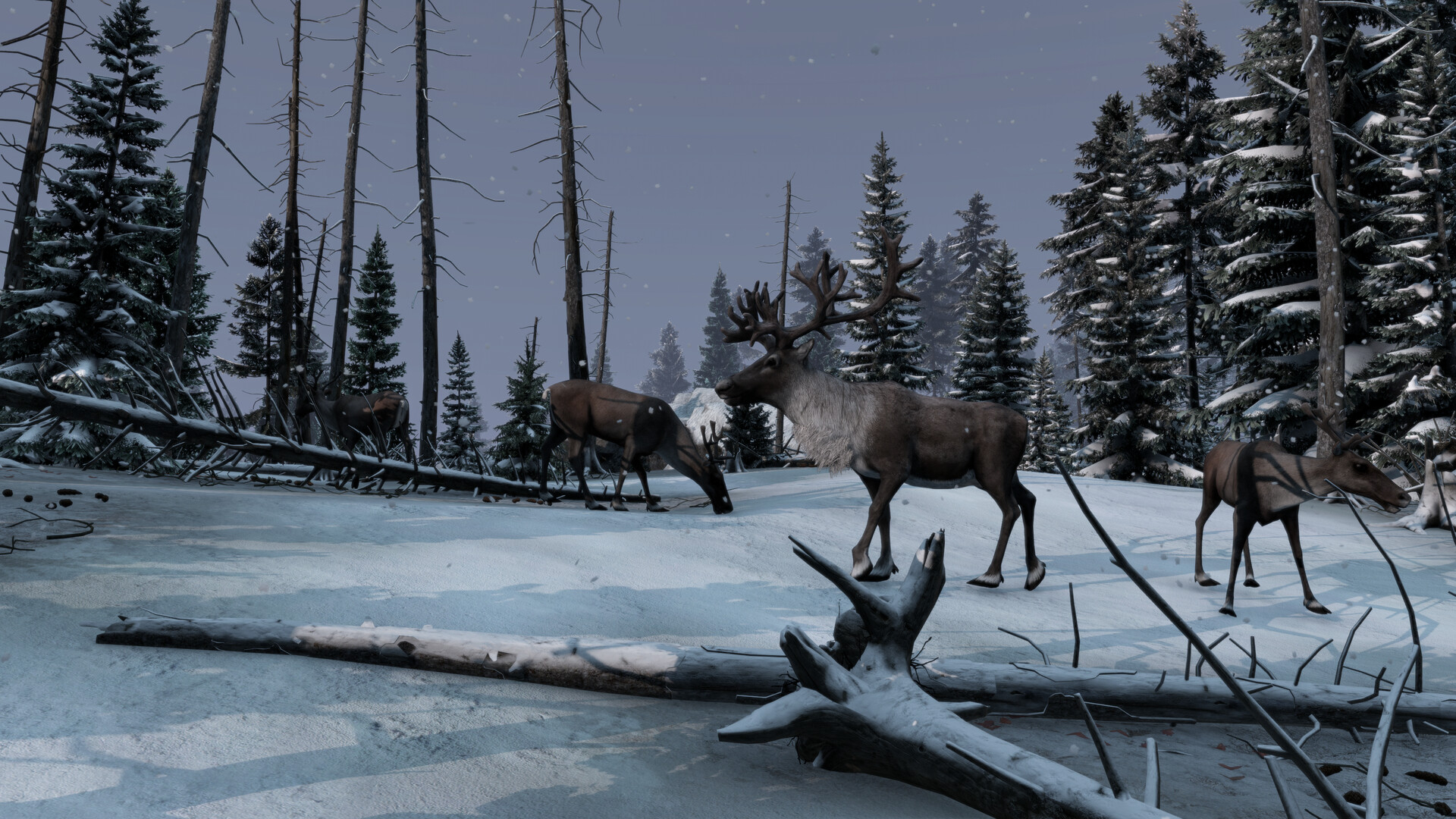https://img.e-store.pro/products/screenshots/dayz_frostline_screenshot1.webp