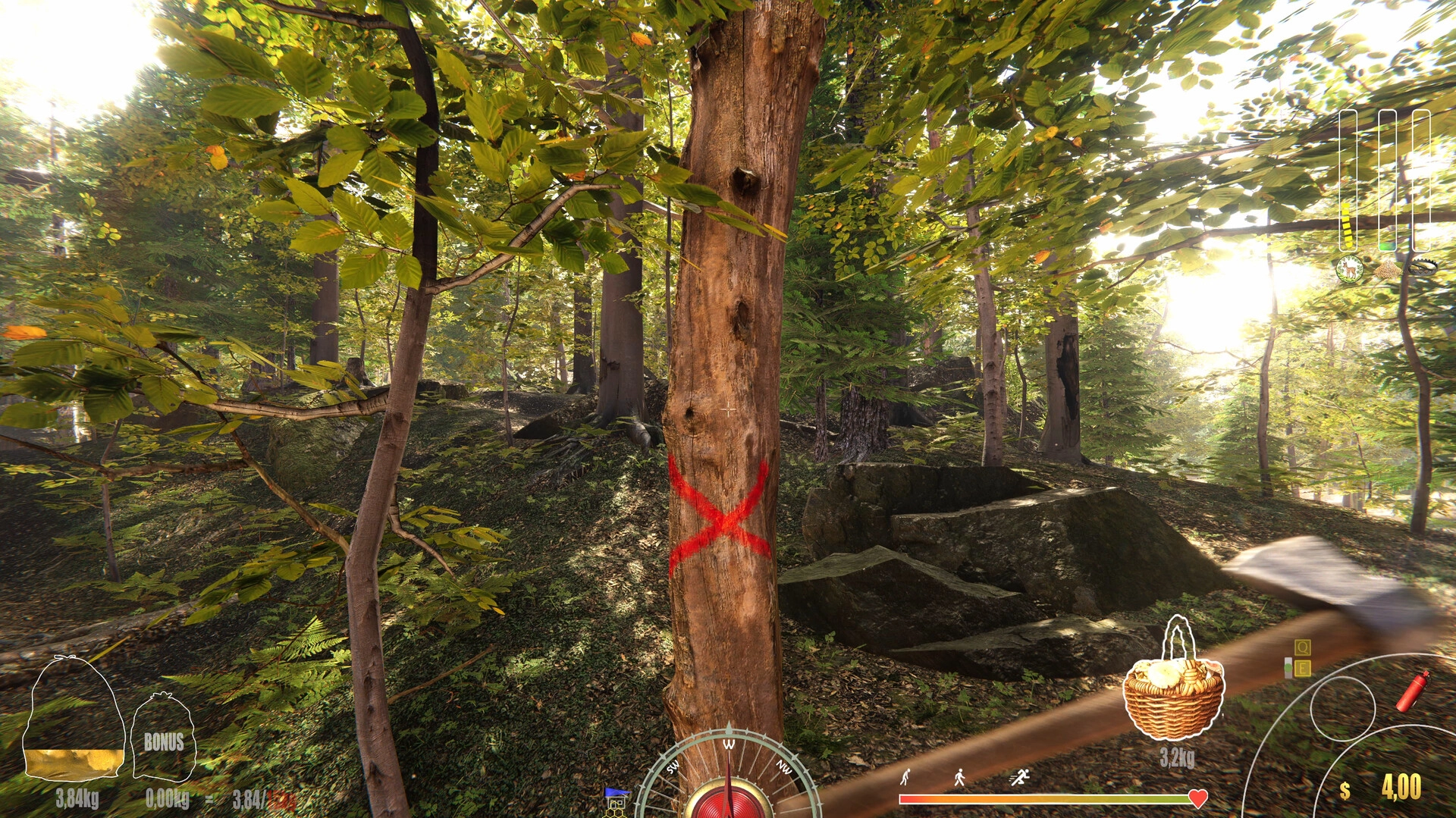 https://img.e-store.pro/products/screenshots/forest_ranger_simulator_screenshot1.webp