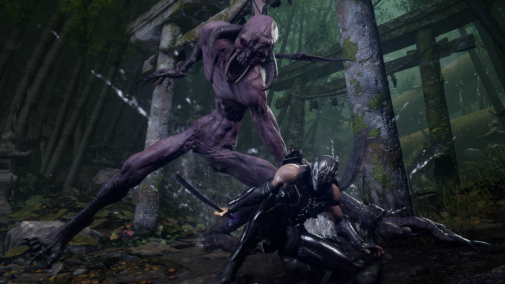 https://img.e-store.pro/products/screenshots/ninja_gaiden_4_deluxe_edition_cifrovaya_versiya_xbox_series_xors_windows_ww_screenshot5.webp