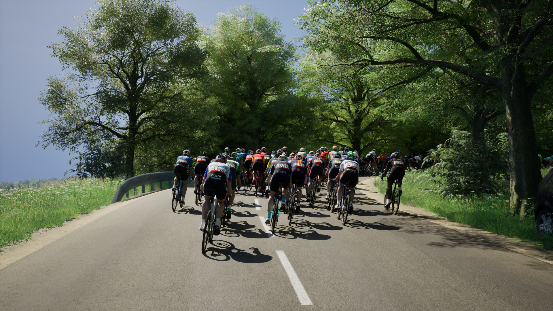 https://img.e-store.pro/products/screenshots/pro_cycling_manager_26_screenshot2.webp