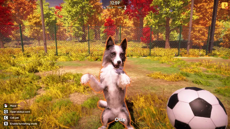 Скриншот Animal Shelter 2 — 2