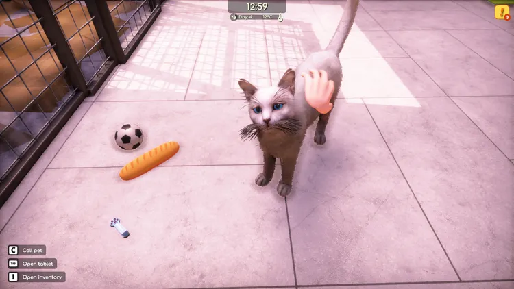 Скриншот Animal Shelter 2 — 7