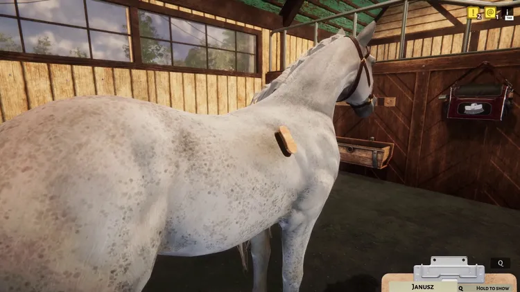 Скриншот Animal Shelter - Horse Shelter DLC — 4