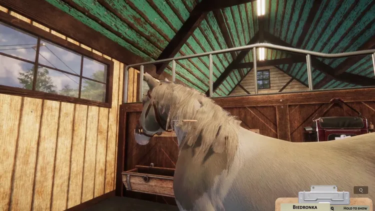 Скриншот Animal Shelter - Horse Shelter DLC — 9