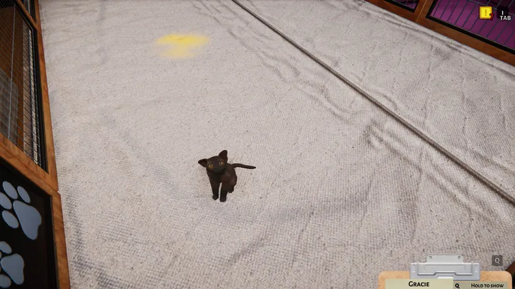 Скриншот Animal Shelter - Puppies & Kittens DLC — 1