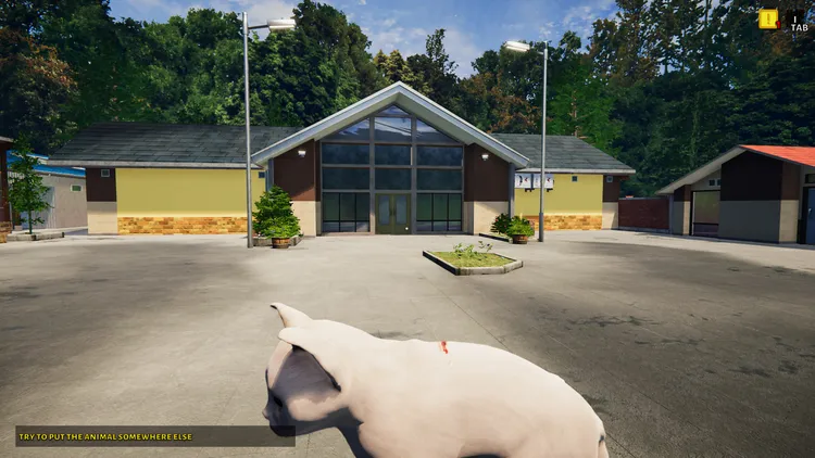 Скриншот Animal Shelter - Puppies & Kittens DLC — 8