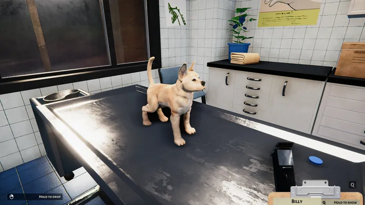 Скриншот Animal Shelter - Puppies & Kittens DLC — 9