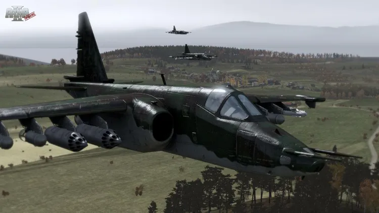 Скриншот Arma 2: Complete Collection — 4