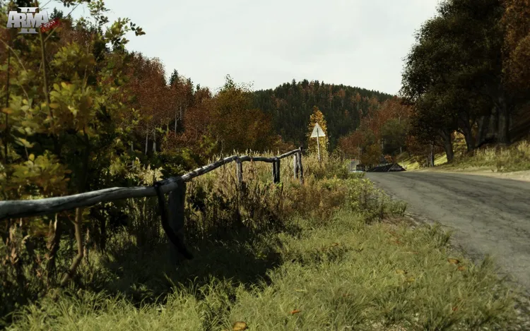 Скриншот Arma 2: Complete Collection — 8