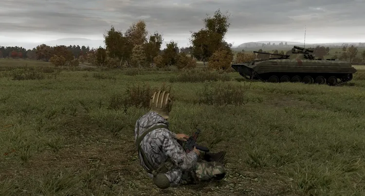 Скриншот Arma 2 — 2