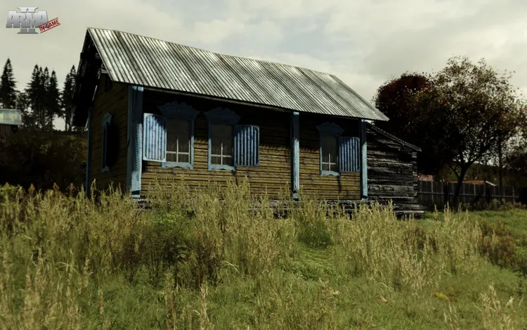 Скриншот Arma 2 — 7