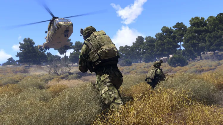 Скриншот Arma 3 Platinum Edition — 9