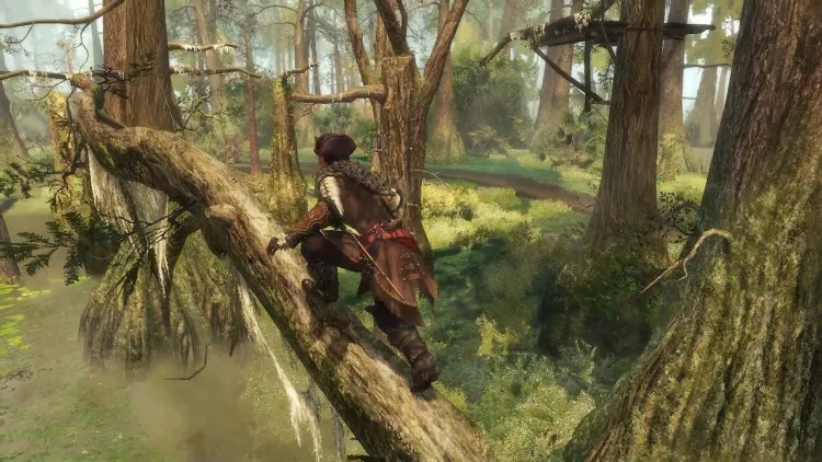 Скриншот Assassin's Creed 3+Liberation Remastered (Nintendo Switch - Цифровая версия) (EU) — 6