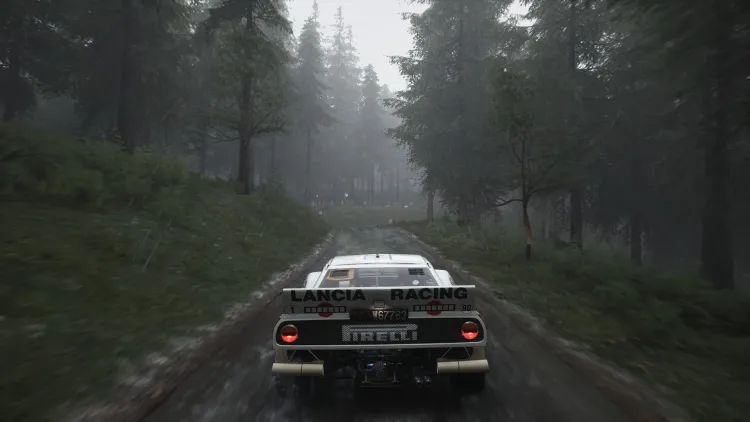 Скриншот Assetto Corsa Rally (Ранний доступ) — 2