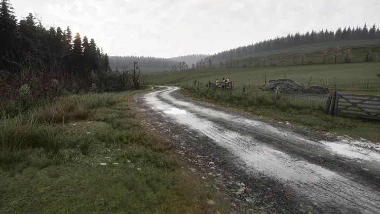Скриншот Assetto Corsa Rally (Ранний доступ) — 8
