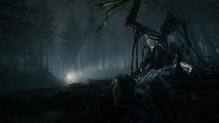 Скриншот Blair Witch (Версия для СНГ [ Кроме РФ и РБ ]) — 4