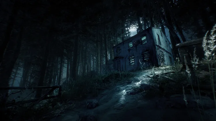 Скриншот Blair Witch (Версия для СНГ [ Кроме РФ и РБ ]) — 5