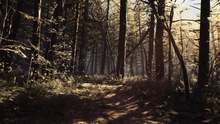 Скриншот Blair Witch (Версия для СНГ [ Кроме РФ и РБ ]) — 6
