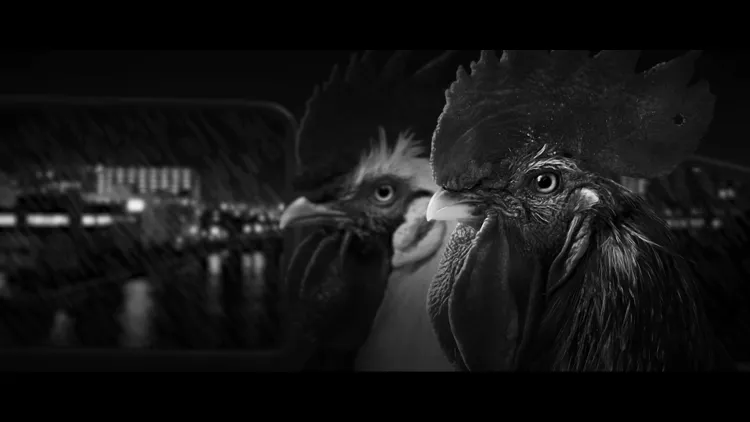 Скриншот Chicken Police - Paint it RED! — 6