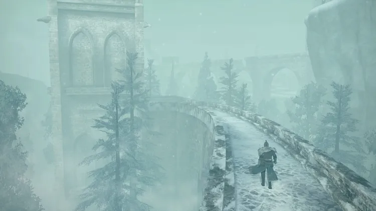 Скриншот Dark Souls II Crown of the Ivory King DLC — 7