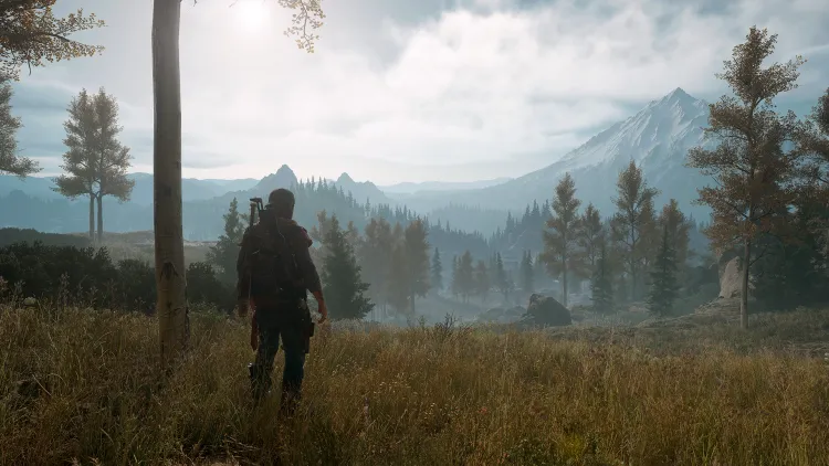 Скриншот Days Gone — 1