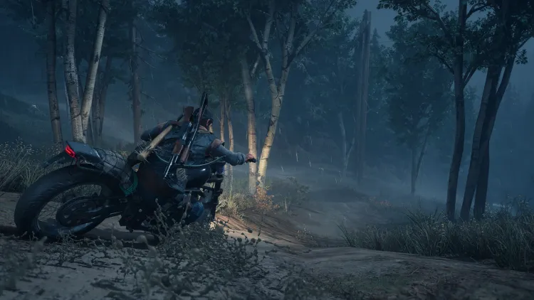 Скриншот Days Gone — 2