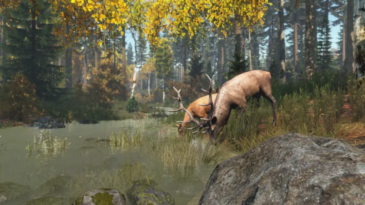 Скриншот DayZ Deluxe Edition — 9
