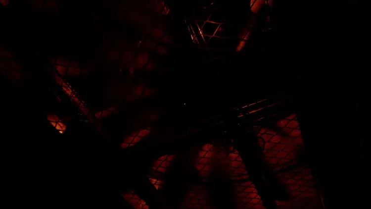 Скриншот Ebola — 8
