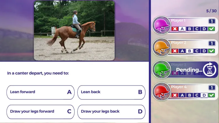 Скриншот Equestrian Training — 2