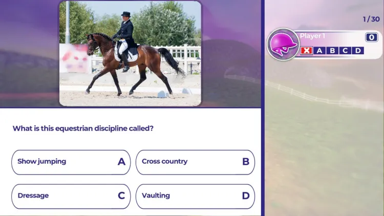 Скриншот Equestrian Training — 5