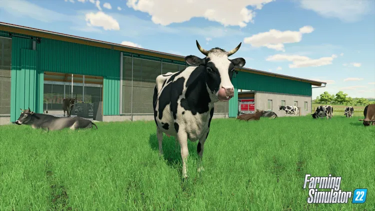 Скриншот Farming Simulator 22 - Year 1 Bundle DLC — 5