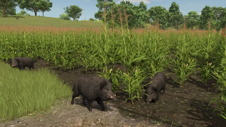 Скриншот Farming Simulator 25 - Vredo Pack DLC — 3