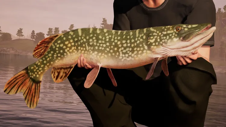 Скриншот Fishing Sim World Deluxe Edition — 5