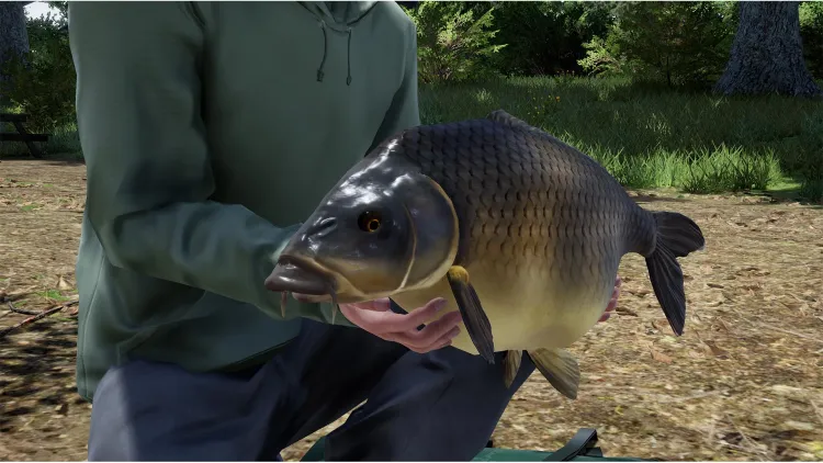 Скриншот Fishing Sim World: Pro Tour - Giant Carp Pack DLC — 7