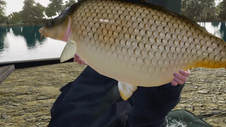 Скриншот Fishing Sim World: Pro Tour - Gigantica Road Lake DLC — 3