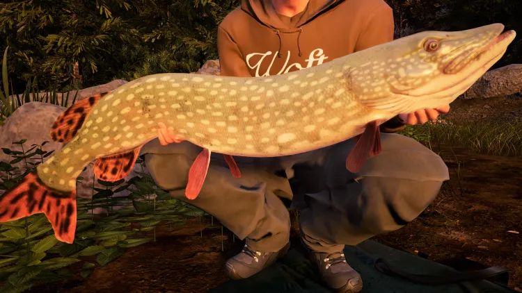 Скриншот Fishing Sim World: Pro Tour - Jezioro Bestii DLC — 2