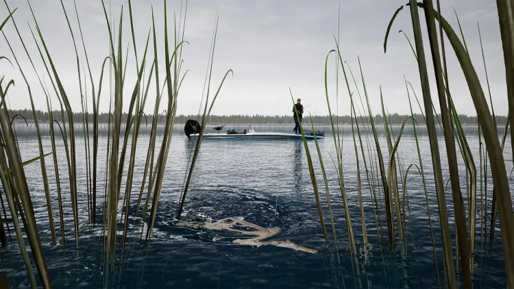 Скриншот Fishing Sim World: Pro Tour - Lake Dylan DLC — 4