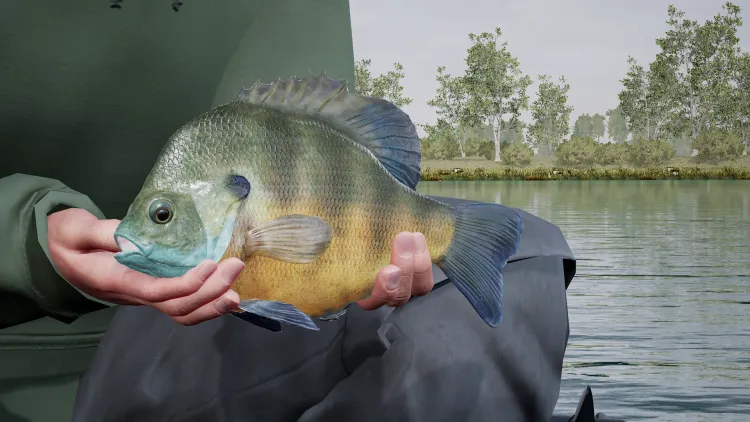 Скриншот Fishing Sim World: Pro Tour - Lake Williams DLC — 8