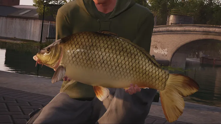 Скриншот Fishing Sim World: Quad Lake Pass — 2