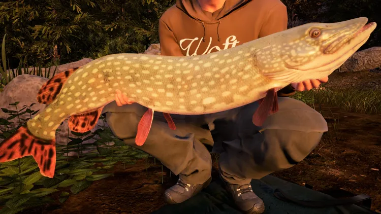 Скриншот Fishing Sim World: Quad Lake Pass — 5