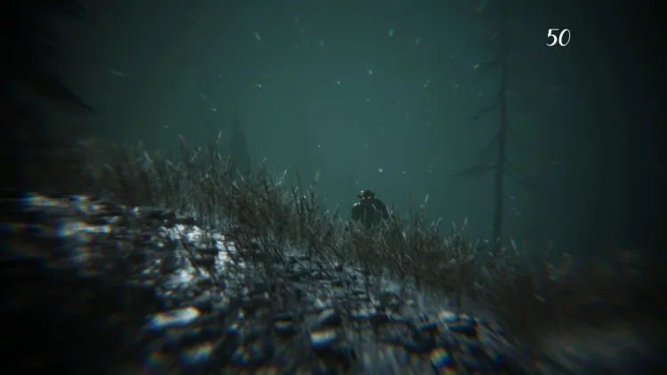 Скриншот Gevaudan — 2