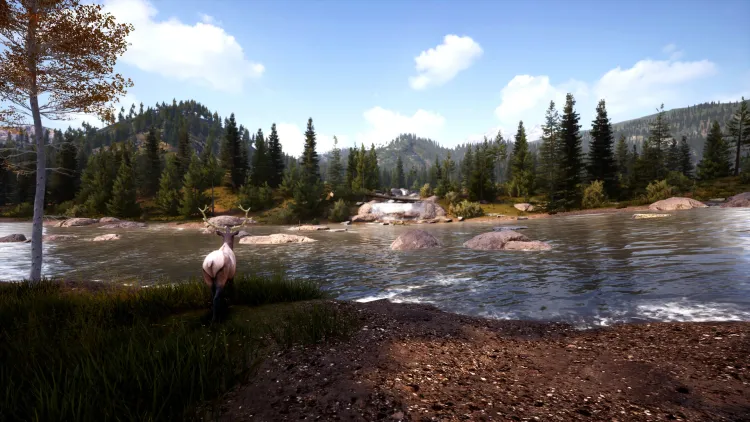 Скриншот Hunting Simulator 2: Bear Hunter Edition — 9