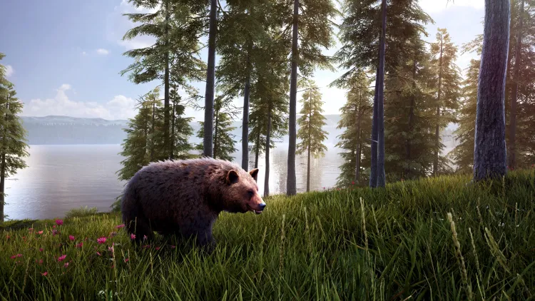 Скриншот Hunting Simulator 2: Bear Hunter Pack DLC — 1