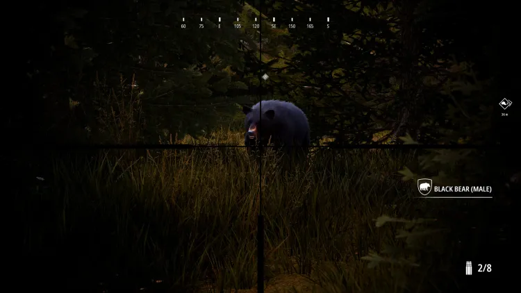 Скриншот Hunting Simulator 2: Bear Hunter Pack DLC — 7
