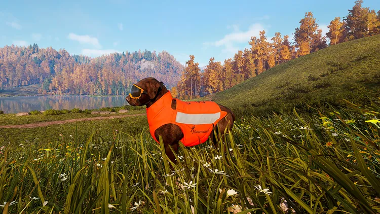 Скриншот Hunting Simulator 3 - Apex Predator Pack — 7